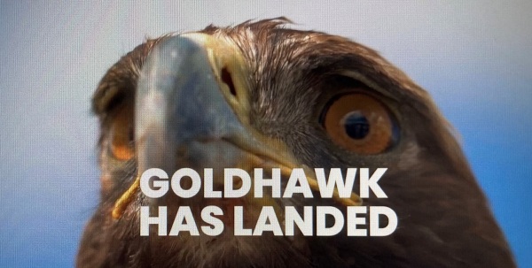 GOLDHAWK Series