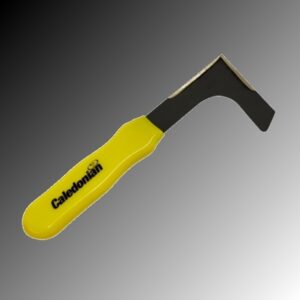 Caledonian Crevice Scraper