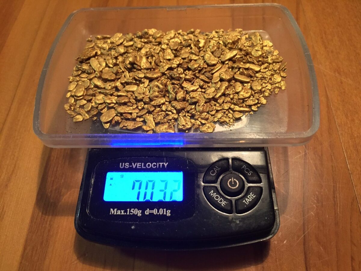 How profitable is panning for gold? Dredge NZ