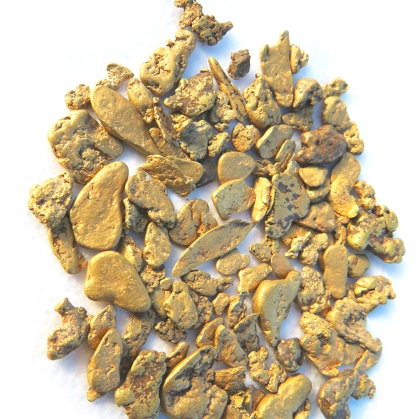 Gold Hunting Adventures - Image 4